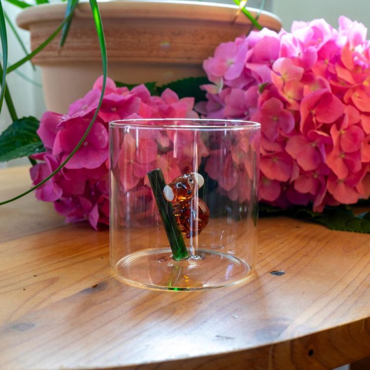 WD Lifestyle Glas Koala (Multi) - Panache (Koksijde)