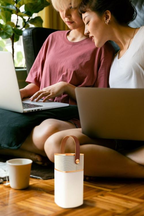 WD Lifestyle Luidspreker Bluetooth LED (Gold) - Panache (Koksijde)