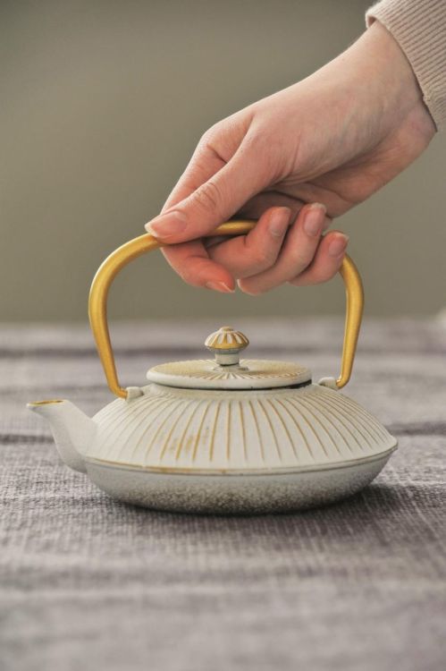 WD Lifestyle Theepot gietijzer 500ml (Creme) - Panache (Koksijde)