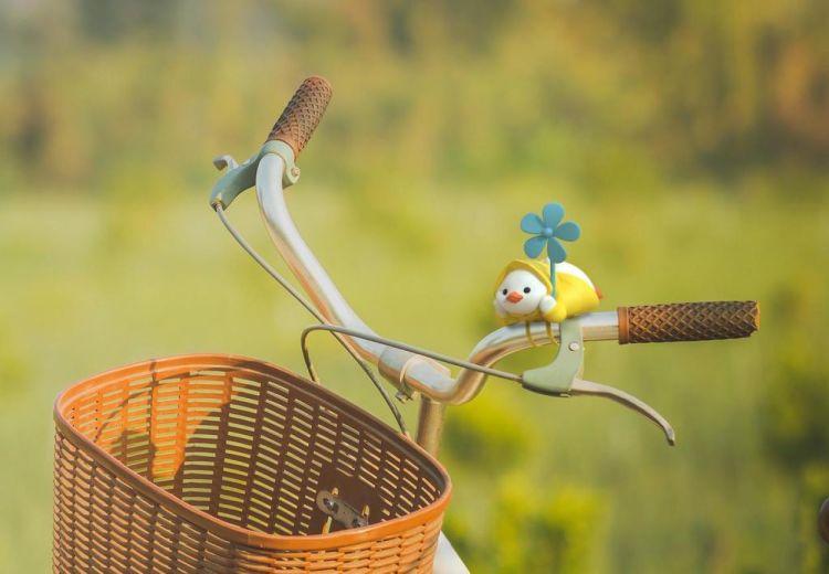 Winkee Bike Duck (Multi) - Panache (Koksijde)