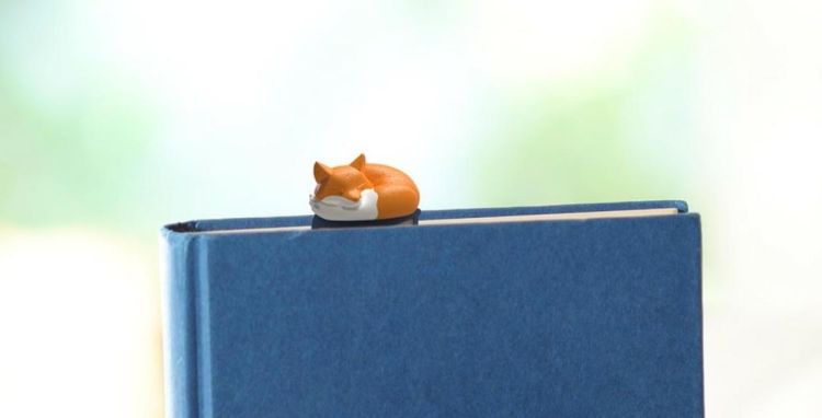 Winkee Marque-page Little Fox (Oranje) - Panache (Koksijde)