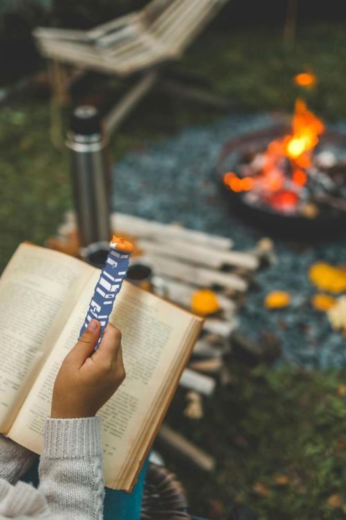 Winkee Marque-page Little Fox (Oranje) - Panache (Koksijde)