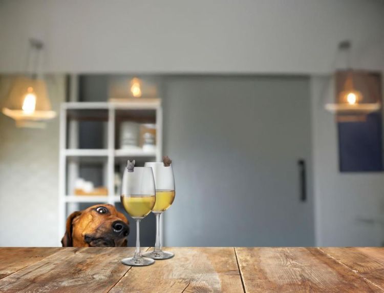 Winkee Marque-verres Chiens - set de 6 (Multi) - Panache (Koksijde)
