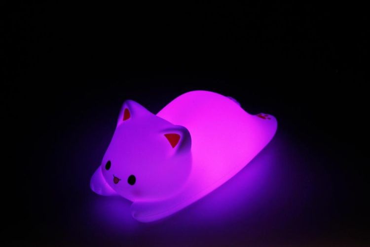 Winkee Nachtlamp Sleepy Cat (Wit) - Panache (Koksijde)