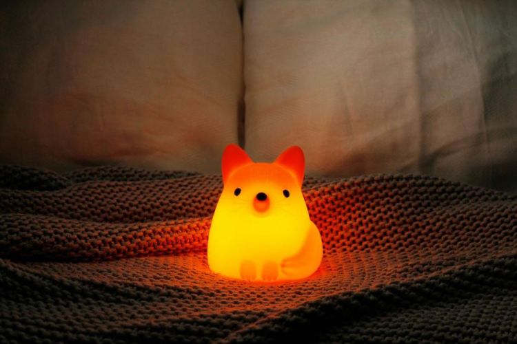 Winkee Nachtlamp Vos (Oranje) - Panache (Koksijde)