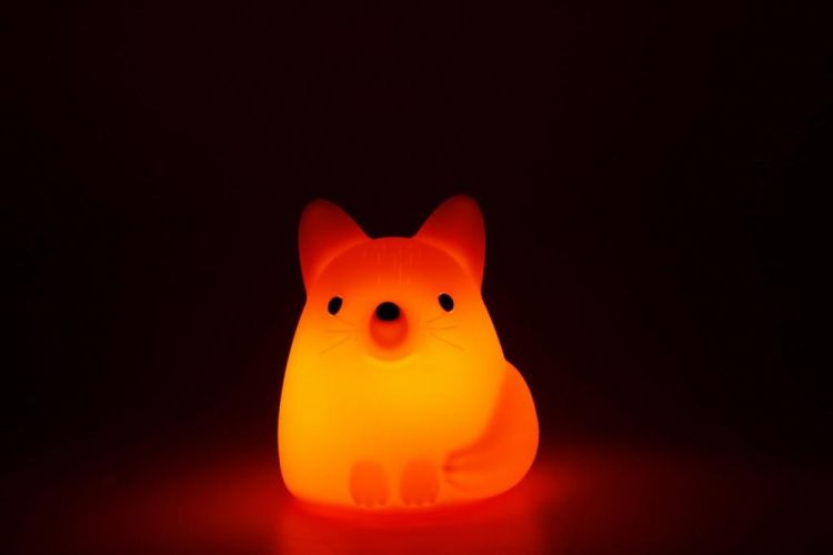 Winkee Nachtlamp Vos (Oranje) - Panache (Koksijde)