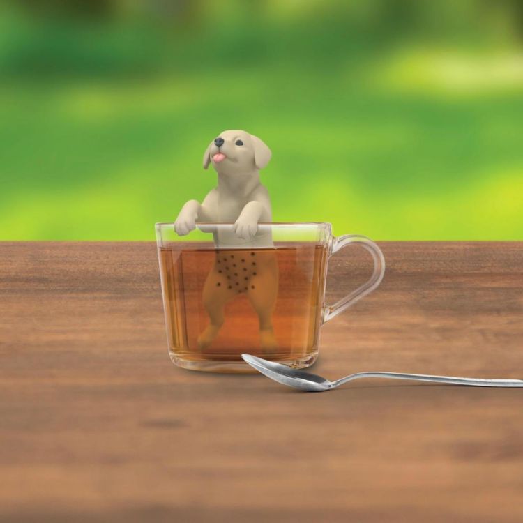 Winkee Thee-ei Doggo (Beige) - Panache (Koksijde)