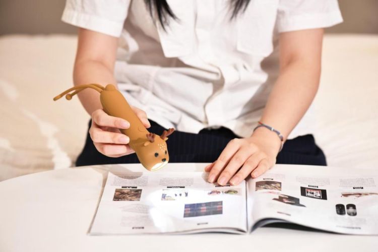 Winkee Lampe Torche Renne (Bruin) - Panache (Koksijde)