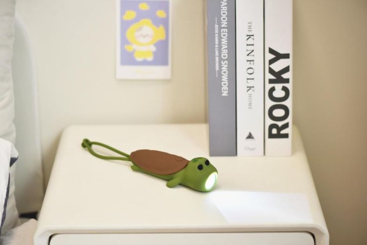 Winkee Lampe Torche Tortue (Groen) - Panache (Koksijde)