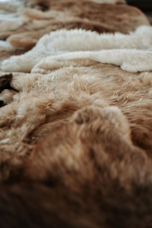 Wowowool Schapenvacht Fluffy (Champagne Light Beige) - Panache (Koksijde)