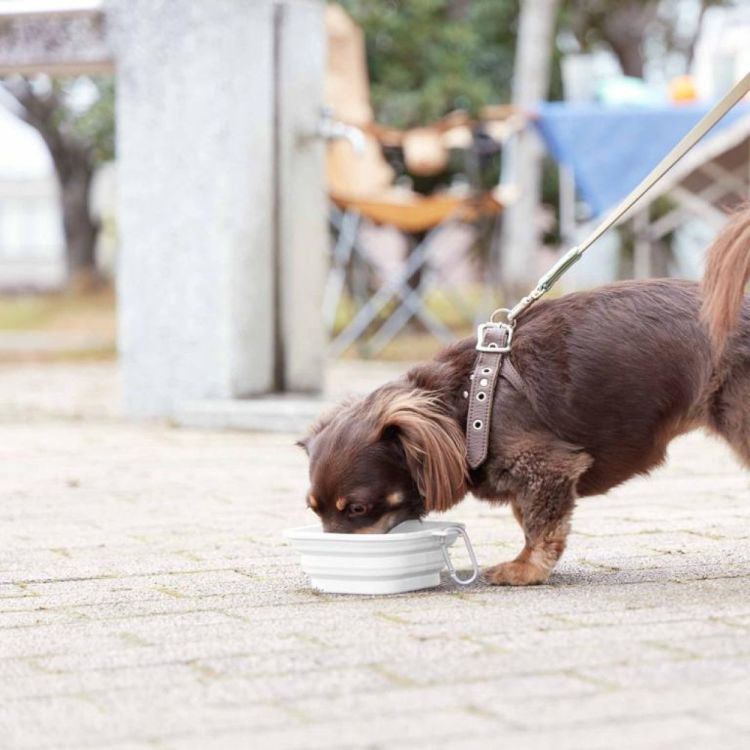 Yamazaki Voerbak huisdieren S opvouwbaar Tower (Wit) - Panache (Koksijde)