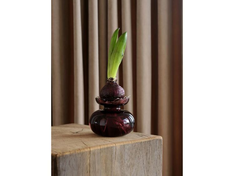 Zone Denmark Vase Inu 11x9cm (Plum) - Panache (Koksijde)