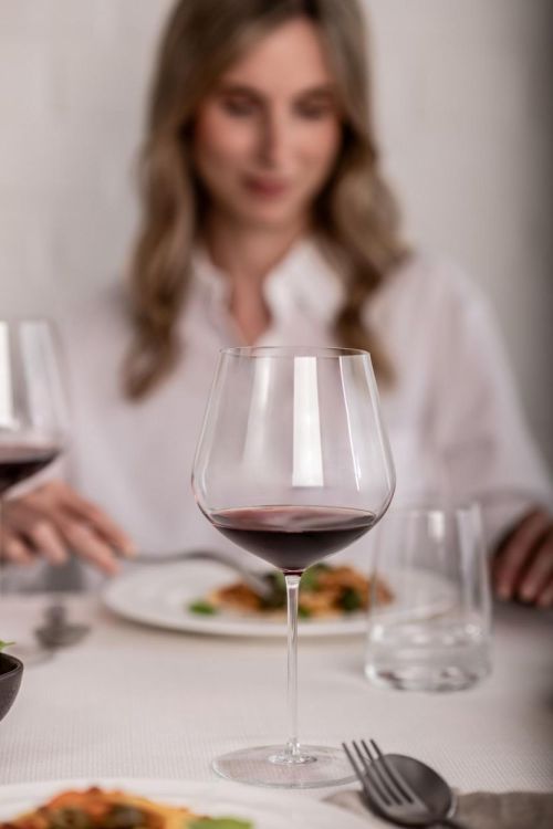 Zwiesel Glas 2 Vuelo Allround glazen (Transparant) - Panache (Koksijde)