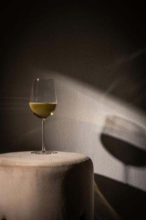 Zwiesel Glas 2 Vuelo Witte wijnglazen (Transparant) - Panache (Koksijde)